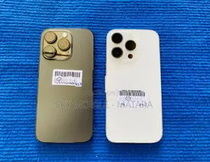 Apple iPhone 13 Pro 256GB (Used)