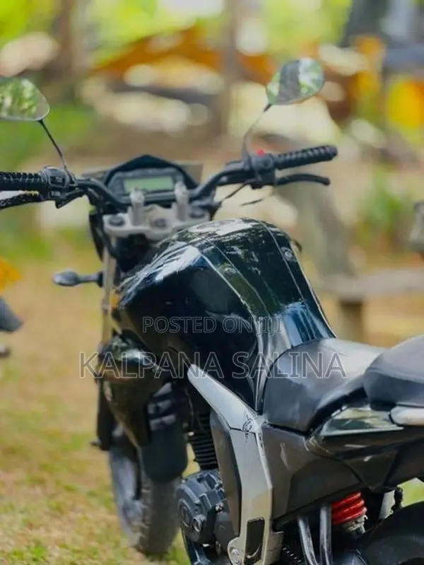 Yamaha FZ S v2 2015