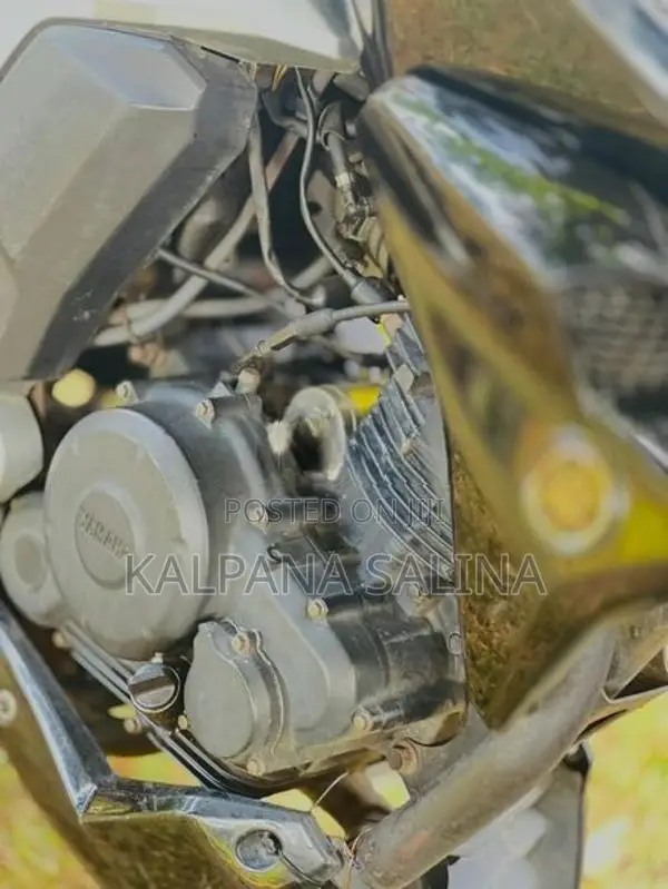 Yamaha FZ S v2 2015