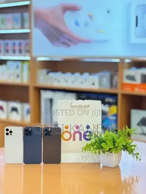 Apple iPhone 12 Pro 256GB (Used)