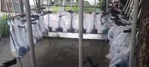Grasscutters