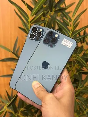 Apple iPhone 12 Pro 256GB (Used)