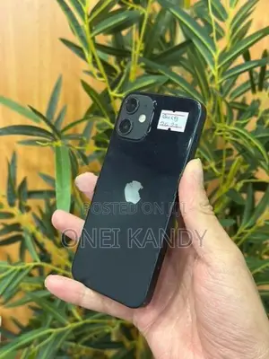 Apple iPhone 12 mini 64GB (Used)