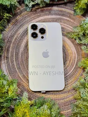 Apple iPhone 13 Pro 256GB (Used)