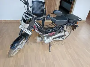 Singer Safari 48cc 2026