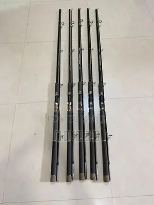 Fishing Rod