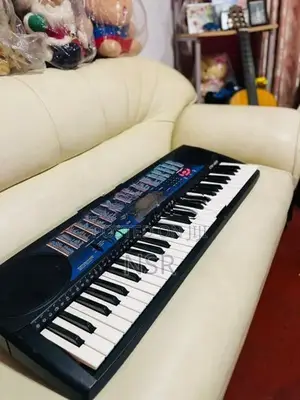 Casio CTK Keyboard Organ