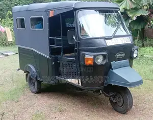 Piaggio Ape 2013