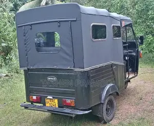 Piaggio Ape 2013