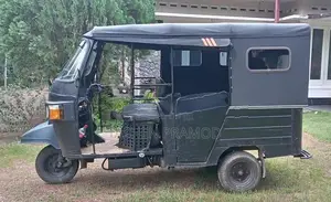 Piaggio Ape 2013