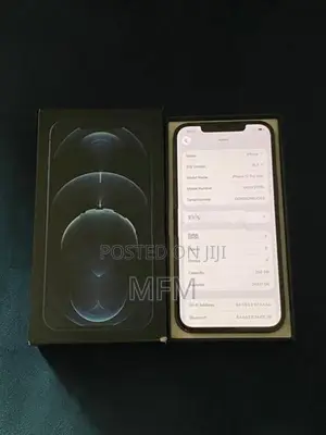 Apple iPhone 12 Pro Max 256GB (Used)