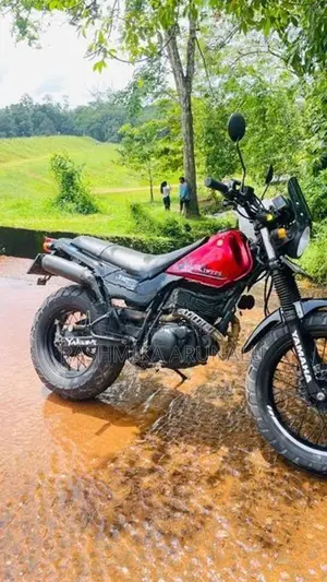 Yamaha TW 200 2011