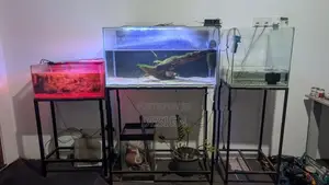 Fish Tank set