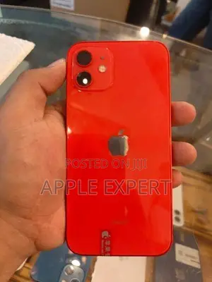 Apple iPhone 12 (Used)