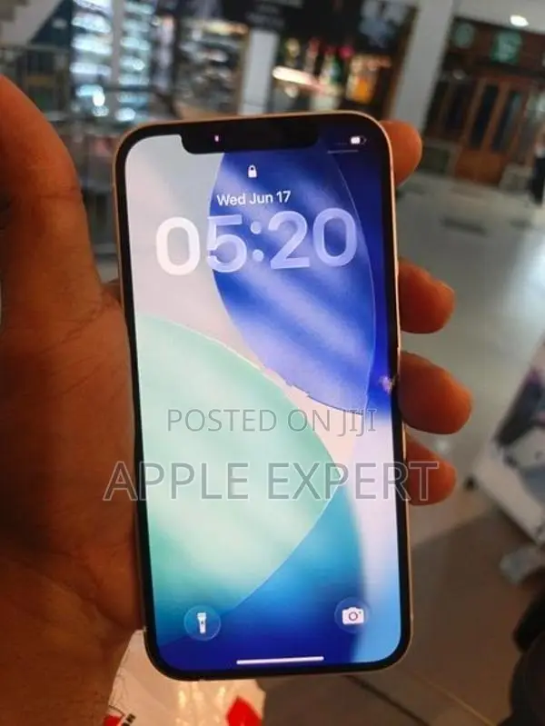 Apple iPhone 12 (Used)
