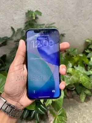 Apple iPhone 12 (Used)