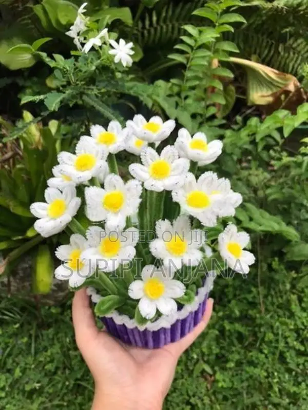 Large Daisy Flower Pot Small Sunflower