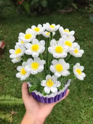 Large Daisy Flower Pot Small Sunflower