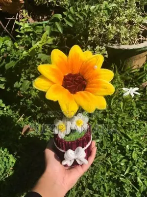 Large Daisy Flower Pot Small Sunflower