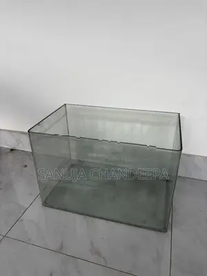 Fish Tanks