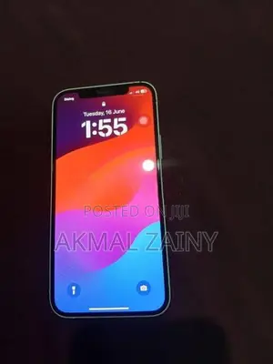 Apple iPhone 12 (Used)