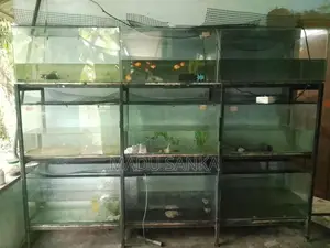 Fish Tank Sets