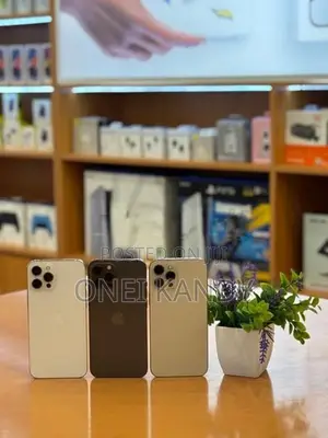 Apple iPhone 12 Pro 256GB (Used)