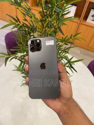 Apple iPhone 12 Pro Max 256GB (Used)