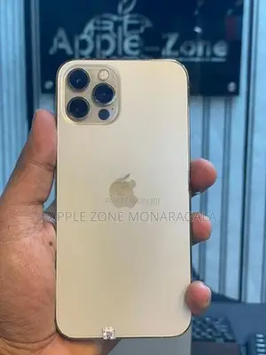 Apple iPhone 12 Pro 256GB (Used)