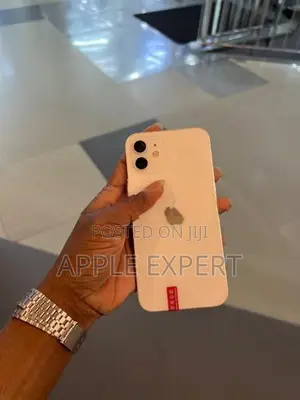 Apple iPhone 12 (Used)