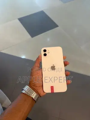 Apple iPhone 12 (Used)