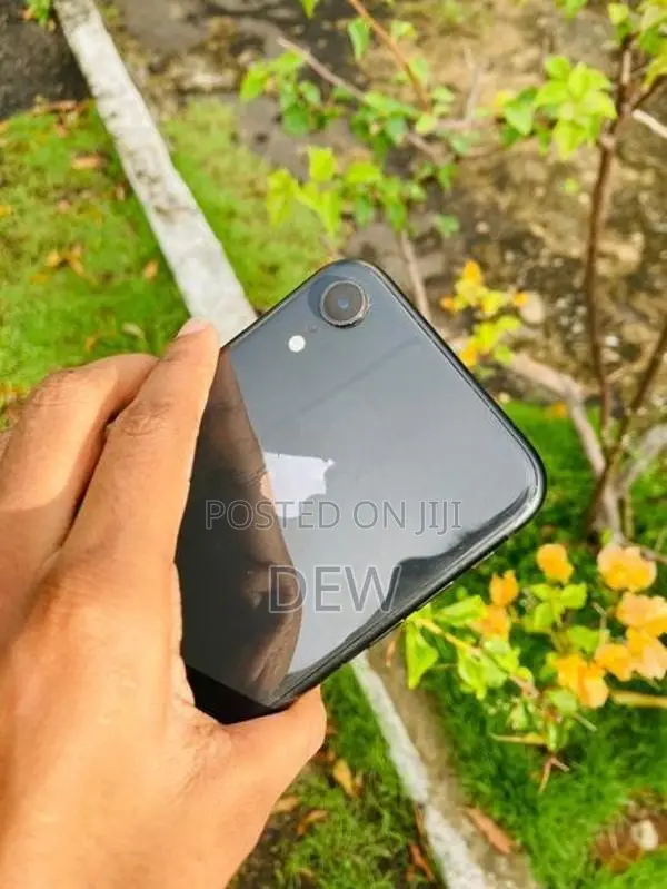 Apple iPhone XR (Used)