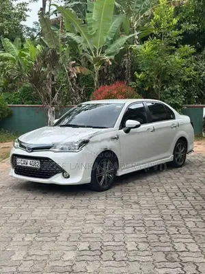 Toyota Axio WXB 2017