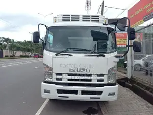 Isuzu Forward MANUAL MIN 30 PLUGIN 2017