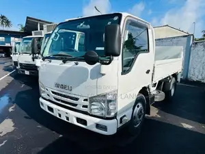 Isuzu Elf Dump Truck 2016