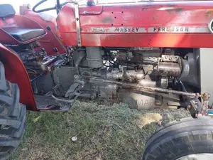 Massey Ferguson 135 2021