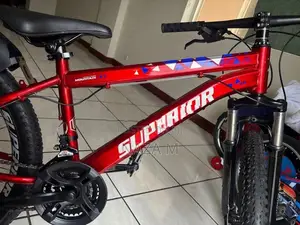 Mountain Bike Brand New