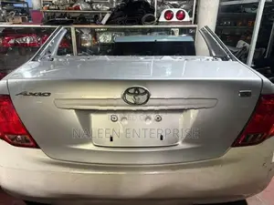 Toyota Axio 141 Dicky Door