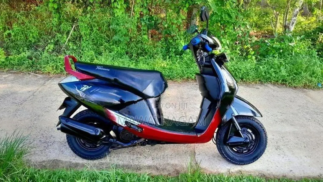Hero Pleasure 2009