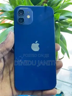 Apple iPhone 12 (Used)
