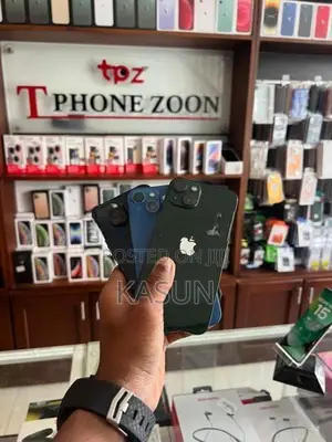 Apple iPhone 13 256GB (Used)