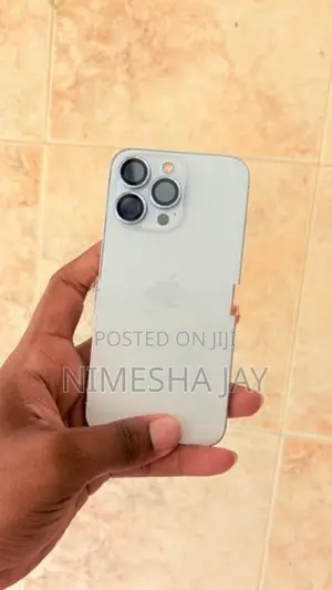 Apple iPhone 13 Pro 256GB (Used)
