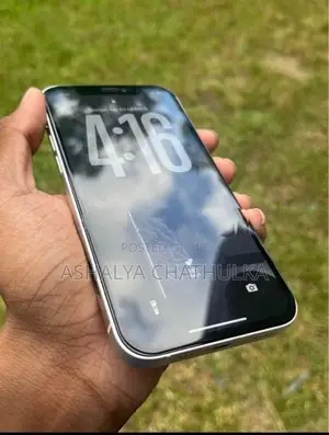 Apple iPhone 12 (Used)