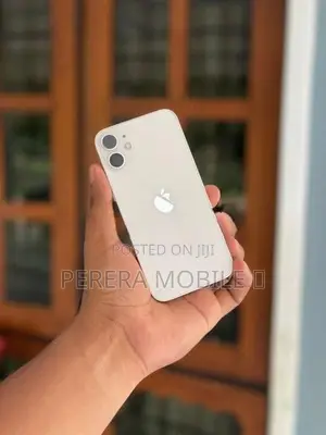 Apple iPhone 12 mini (Used)