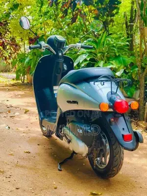 Honda Today 2024