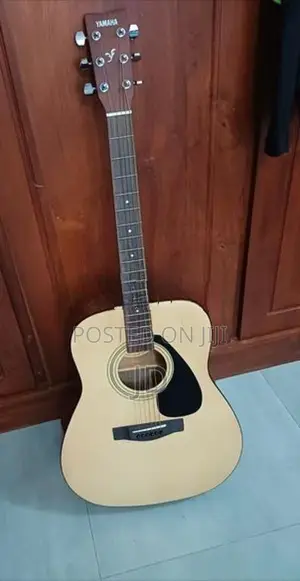 Acoustic Guitar