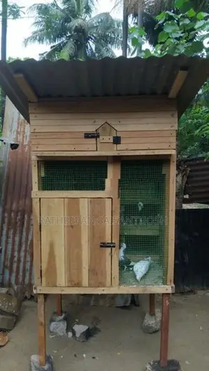 Bird Cage