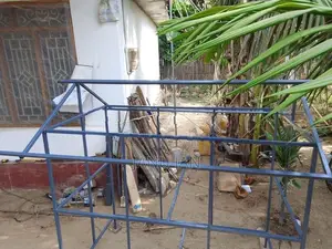Dog Cage