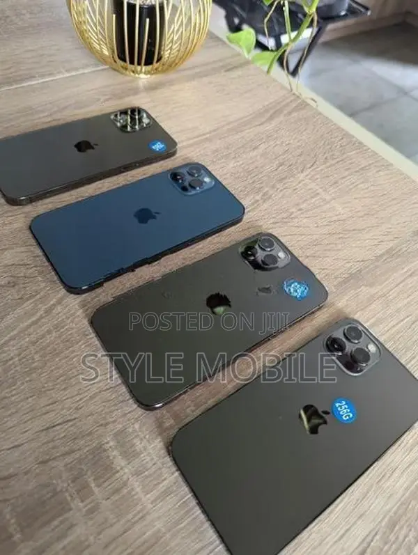Apple iPhone 12 Pro 256GB (Used)