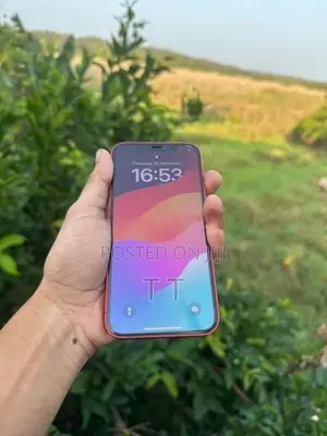 Apple iPhone 12 (Used)